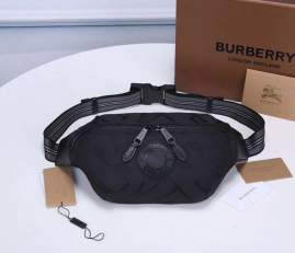 Picture of Burberry Handbags _SKUfw236853164fw